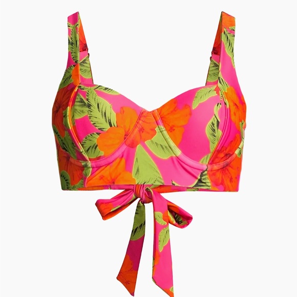 Beach Riot Other - NWT Beach Riot
Paulina Bikini Top